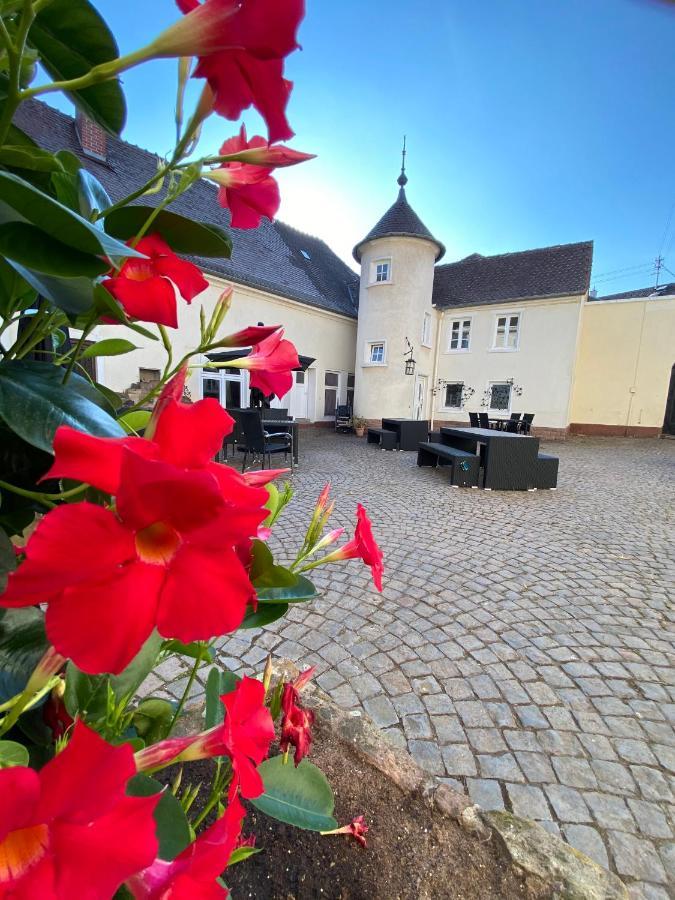Schloss Hainfeld Exterior photo